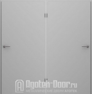 Техническая дверь - Нитроэмаль (2 листа металла)